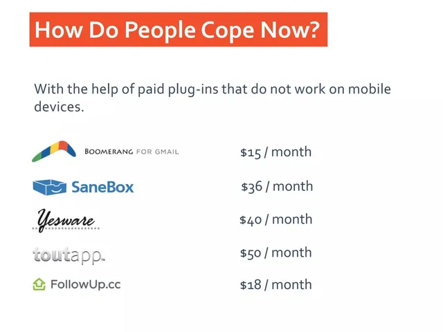 Competitors slide 6 from Mailburn Slush