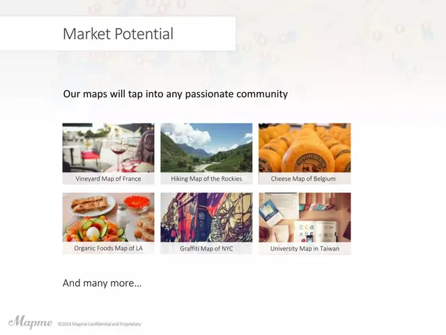 Market sizing / opportunity slide 10 from MapMe