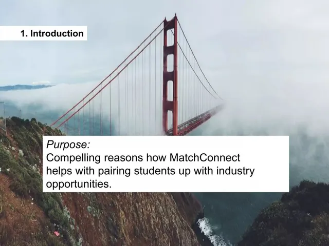 Product / solution slide 2 from MatchConnect