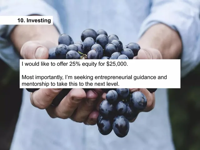 Ask & use of funds slide 11 from MatchConnect