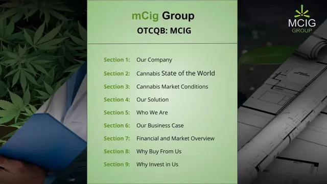 Agenda / contents slide 2 from MCIG Group