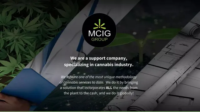 Product / solution slide 3 from MCIG Group
