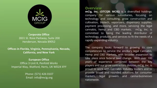 Company overview slide 4 from MCIG Group