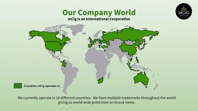 Company overview slide 5 from MCIG Group