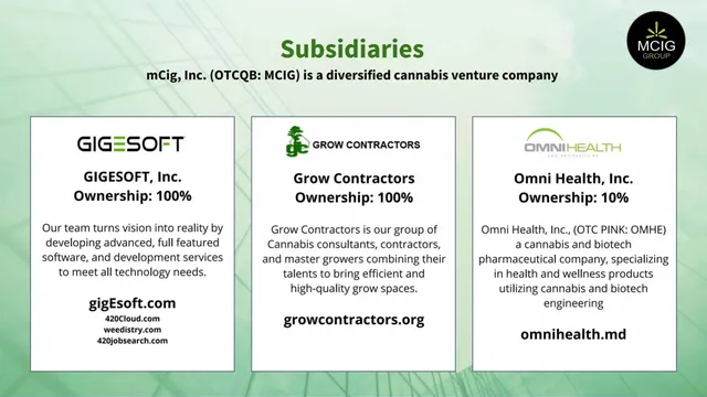 Company overview slide 6 from MCIG Group