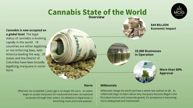 Market analysis / overview slide 10 from MCIG Group
