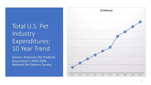 Market sizing / opportunity slide 3 from McLovin