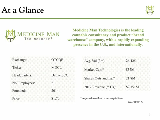 Company overview slide 3 from Medicine Man Tech