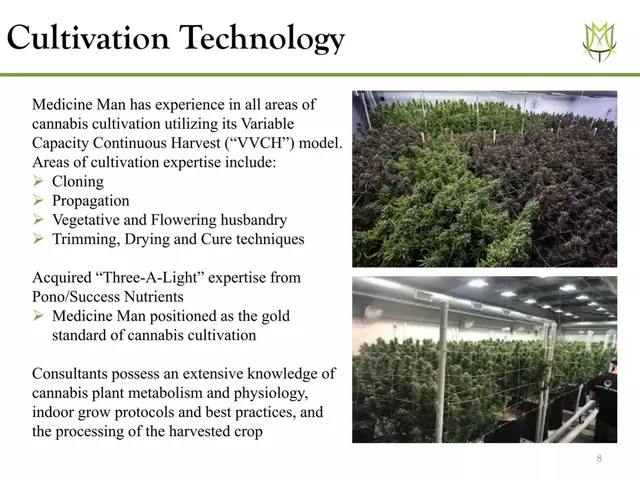 Technology slide 8 from Medicine Man Tech