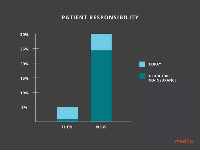 Business model / revenue streams slide 5 from Medlio