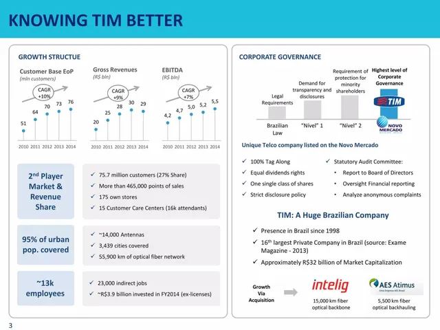 Company overview slide 3 from TIM Brasil