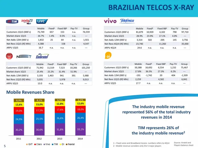 Competitors slide 5 from TIM Brasil