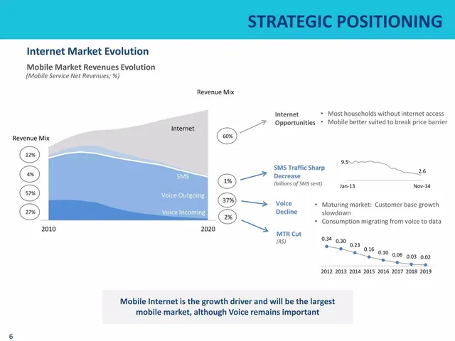 Market analysis / overview slide 6 from TIM Brasil
