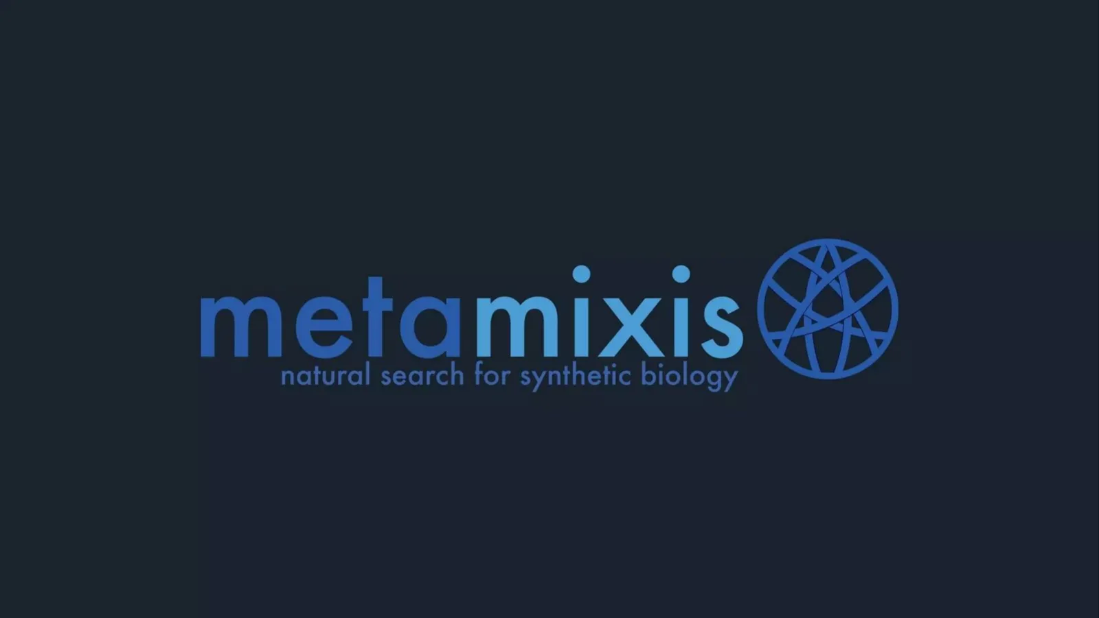 MetaMixis pitch deck slide