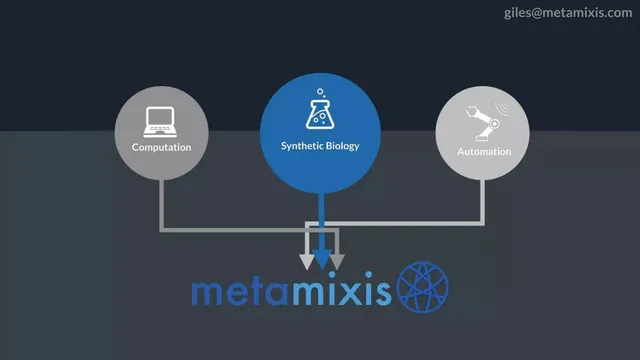 Cover slide 2 from MetaMixis