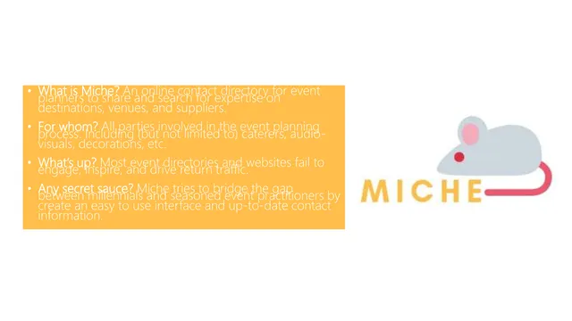 Problem slide 3 from Miche