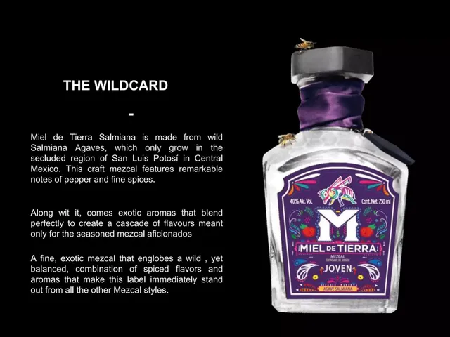Product / solution slide 6 from Miel de Tierra