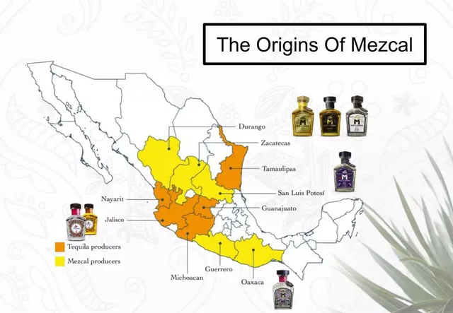 Other slide 3 from Miel de Tierra