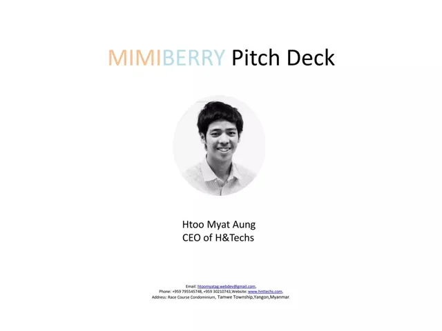 mimiberry pitch deck cover