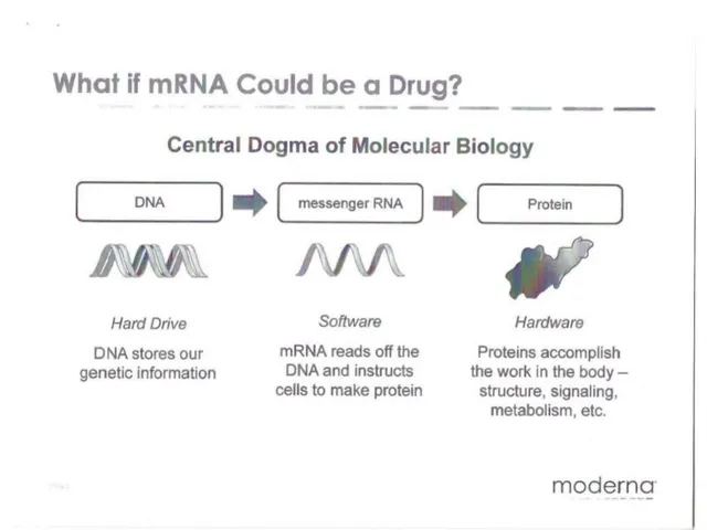 Technology slide 5 from Moderna