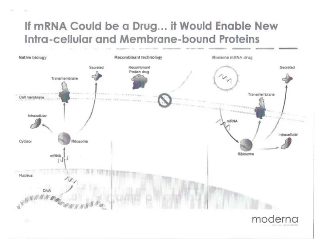 Technology slide 6 from Moderna