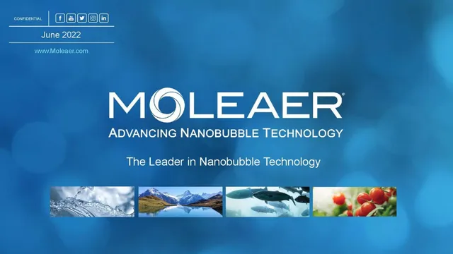 Moleaer pitch deck cover