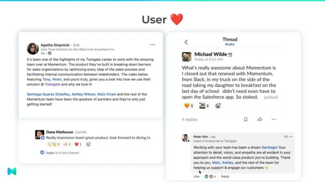 Reviews / testimonials / feedback slide 13 from Momentum