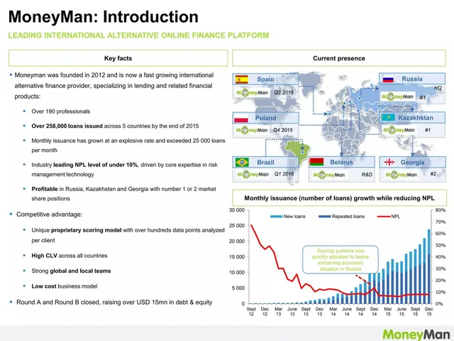 Company overview slide 2 from MoneyMan