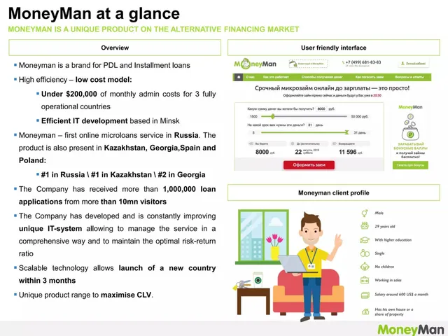 Company overview slide 3 from MoneyMan