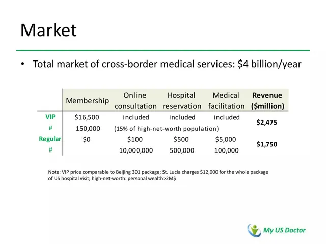 Business model / revenue streams slide 6 from My US Doctor