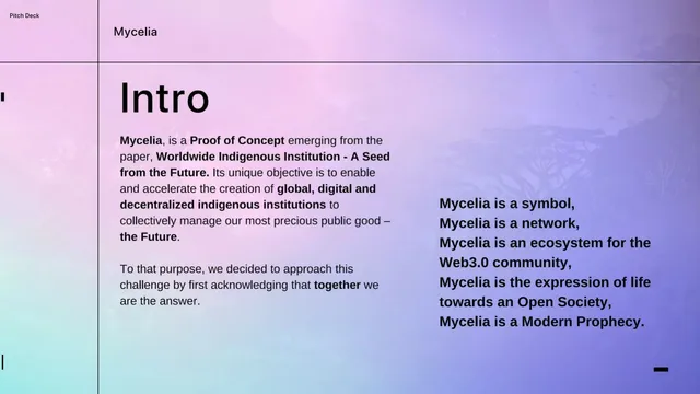 Vision slide 2 from MYCELIA