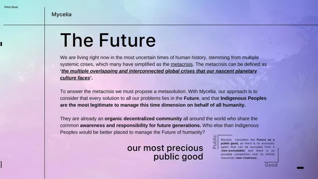 Vision slide 3 from MYCELIA