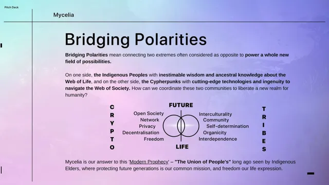 Vision slide 4 from MYCELIA