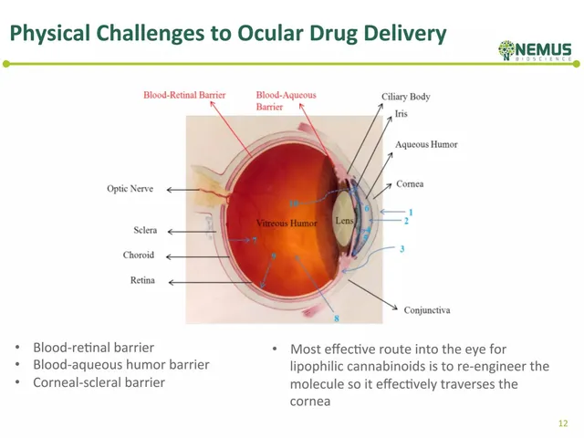 Technology slide 12 from Nemus Bioscience