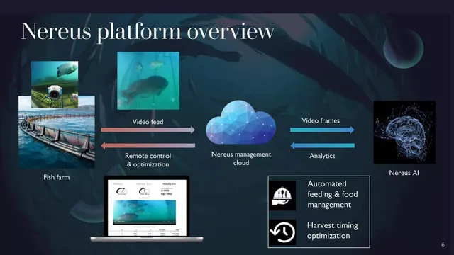 Product / solution slide 6 from Nereus (NeuralX Inc.)