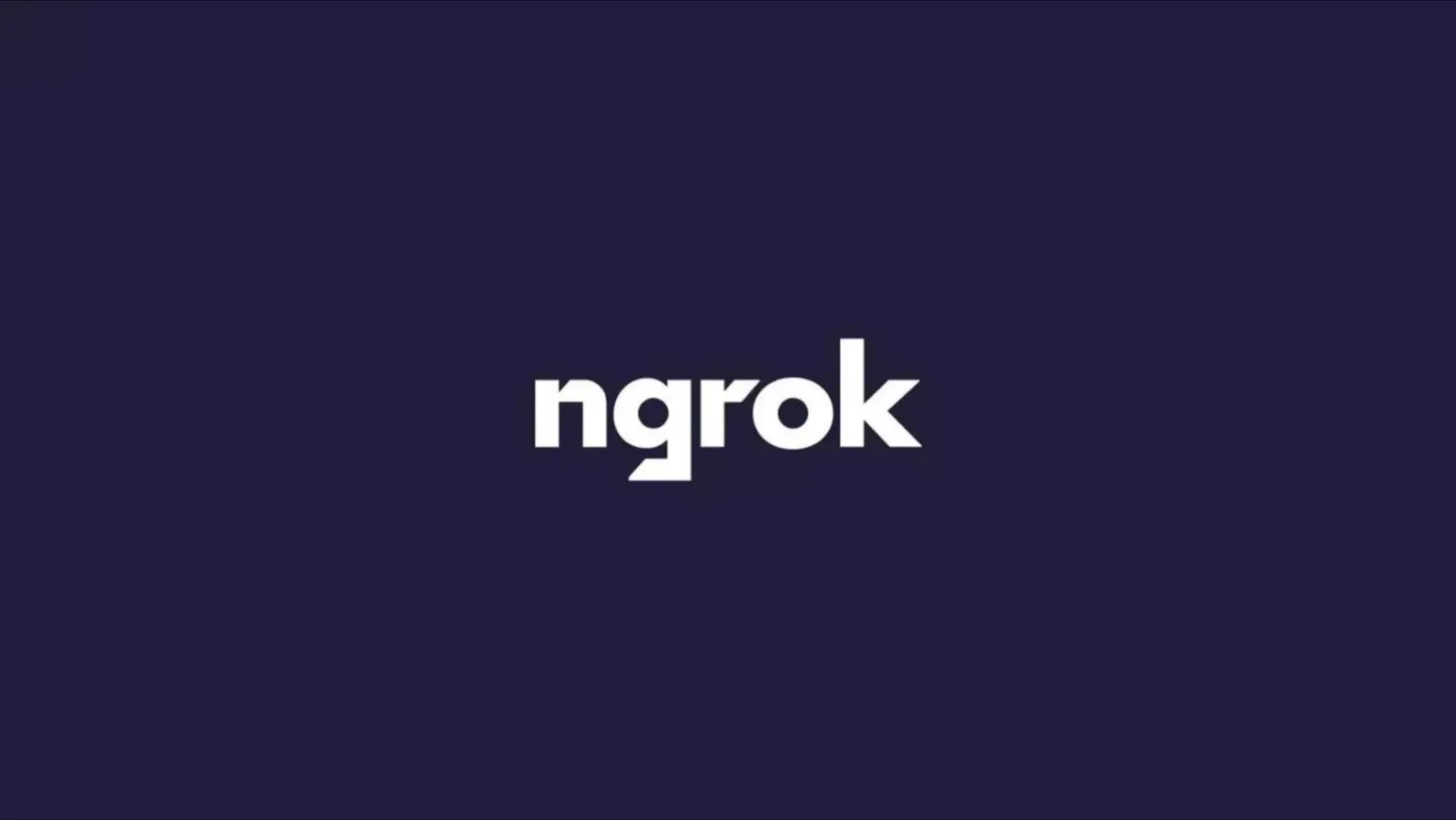 Ngrok pitch deck slide