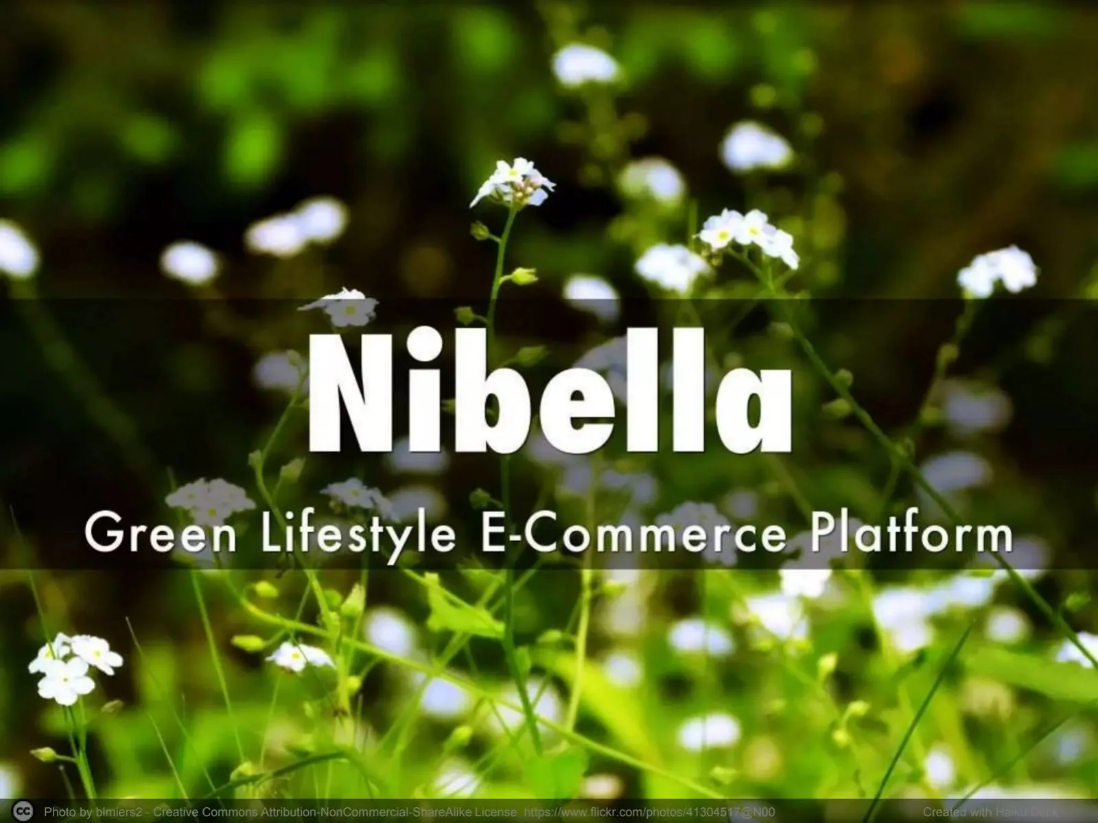 Nibella pitch deck slide