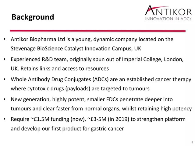 Company overview slide 2 from Antikor