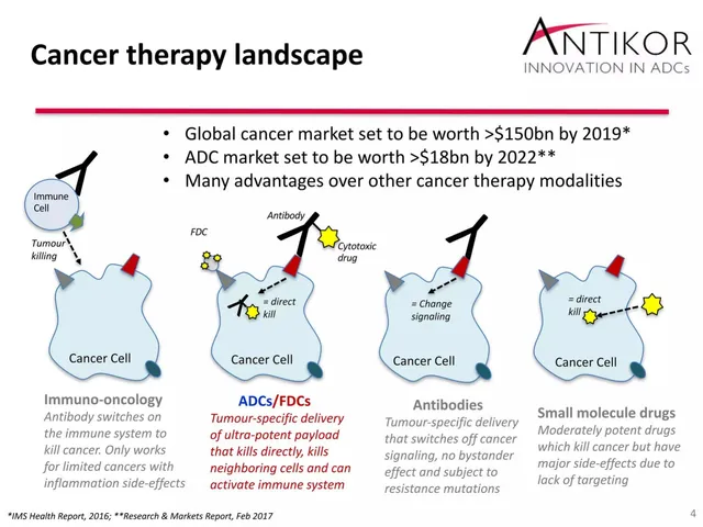 Market sizing / opportunity slide 4 from Antikor