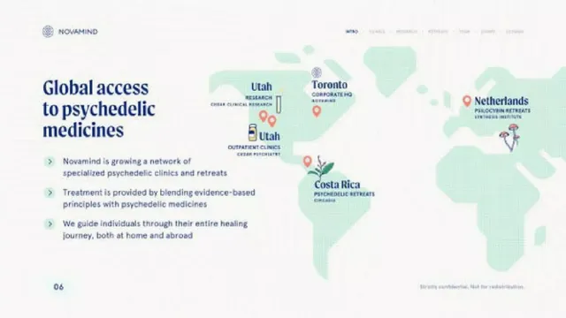 Company overview slide 6 from Novamind
