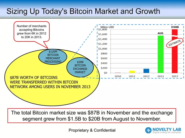 Market sizing / opportunity slide 6 from Novelty Lab