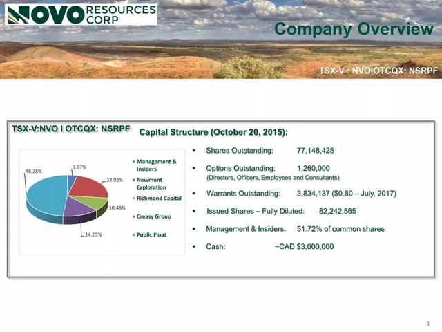 Company overview slide 3 from Novo Resources Corp.