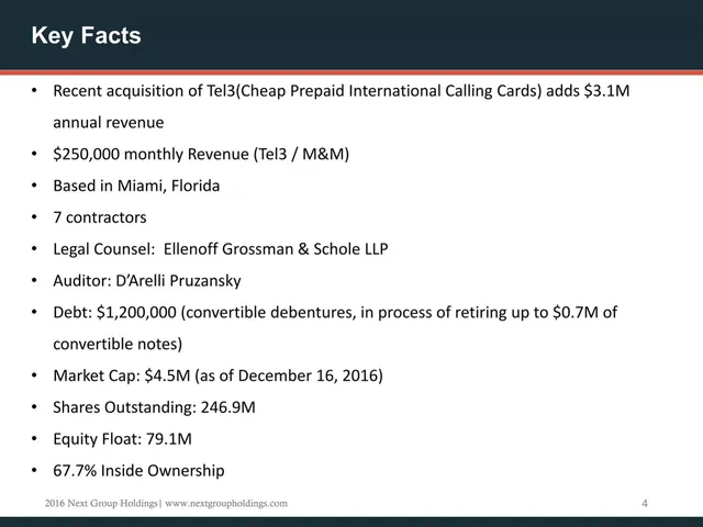 Company overview slide 4 from Next Group Holdings (NXGH)