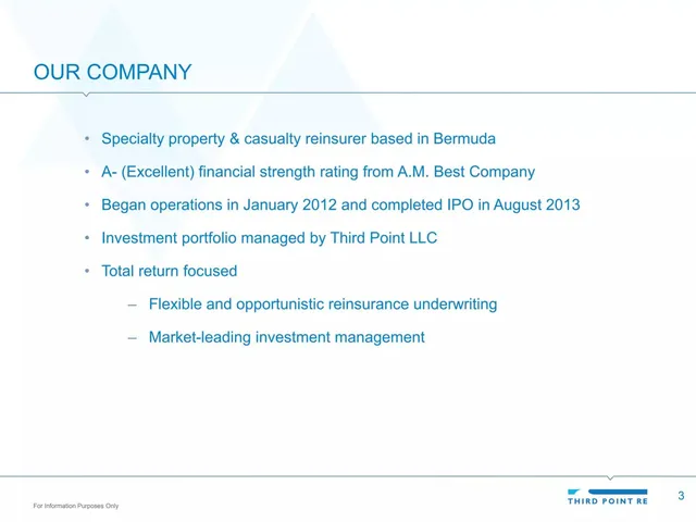 Company overview slide 3 from Third Point Re