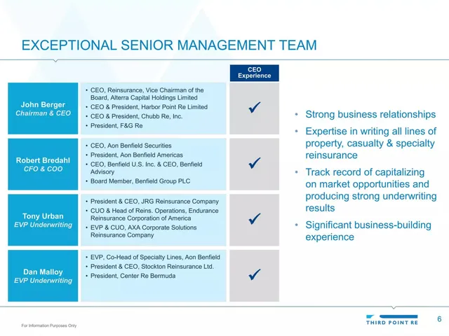 Team slide 6 from Third Point Re