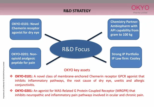 Product / solution slide 5 from OKYO Pharma