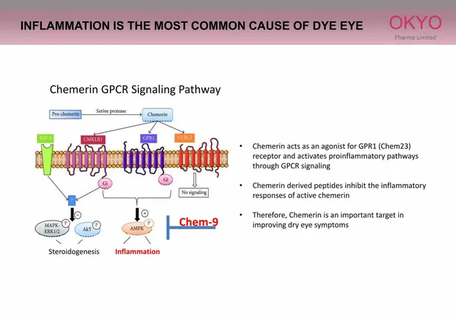Technology slide 6 from OKYO Pharma