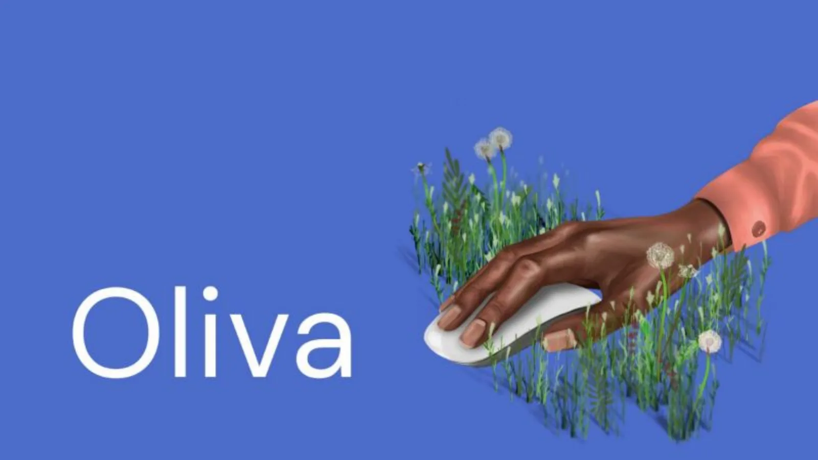 Oliva pitch deck slide