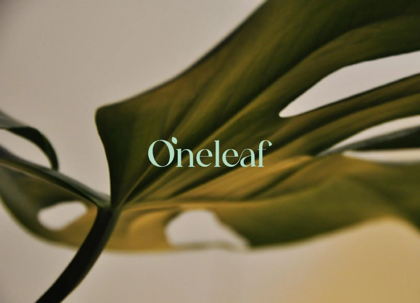 OneLeaf pitch deck slide