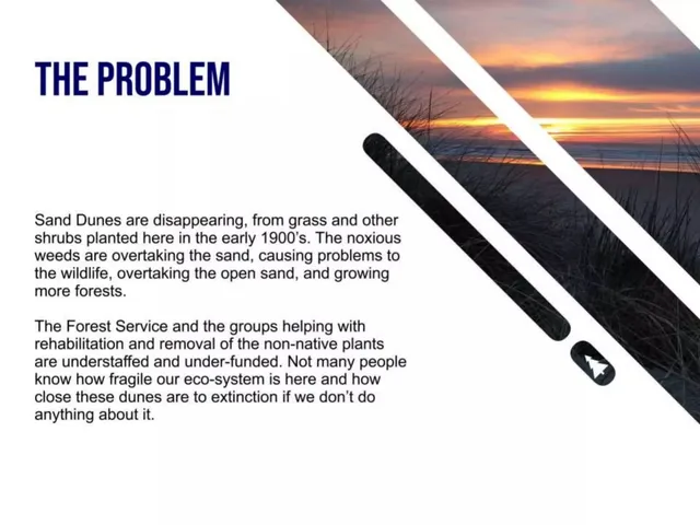 Problem slide 2 from Oregon Sand Dune Tours Inc